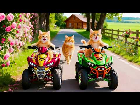 Mama Cat Trims Fur on the Farm and Makes Tiger Hat For Kittens At Home🐾🎩🐯