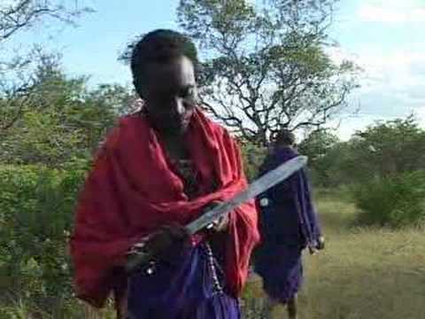 Maasai tootbrush