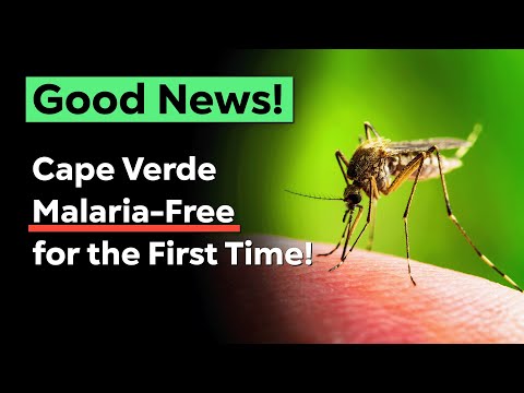 Your Weekly Dose of Good News! - #13