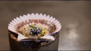 In the Mix with Matt FX - The Tasting Menu | Food.com