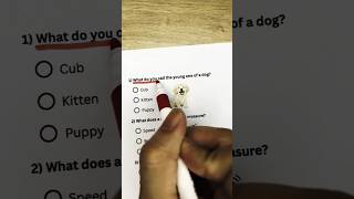 General Knowledge Quiz