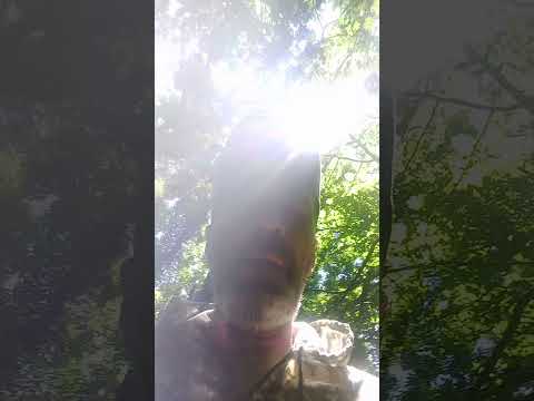 Не