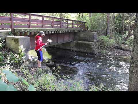 Water Clarity