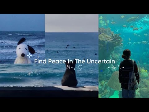 Life is uncertain. Make peace with it.
