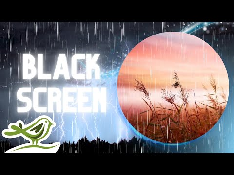 [NO ADS] Thunderstorm, Rain Sounds & Soft Piano Music for Deep Sleep by Soothing Night