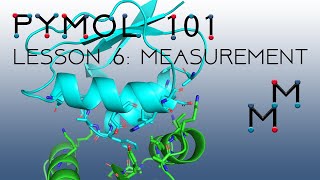 PyMOL 101, Lesson 6: Introduction to the measurement wizard & polar contacts, the N- & C-terminus