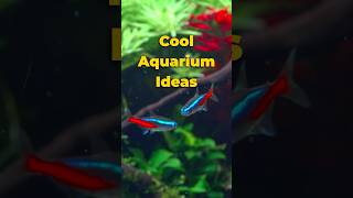 Cool Aquarium Ideas 🐠😀 #shorts #aquariumhobby #aquascapeideas #fishtankideas