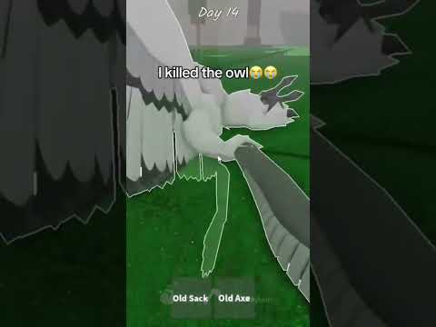 I Made Impossible To Possible Part 2 #99nightintheforest #99nights #99nightsintheforestscriptmobile