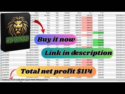 Gold Trade Pro V5.4 EA – Smart Breakout Robot for XAUUSD