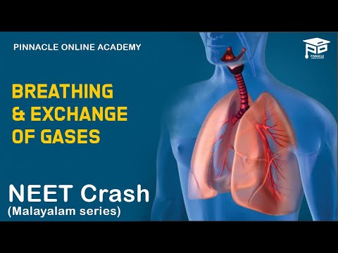 Breathing and exchange of gases - VNM(Malayalam)