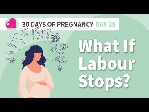 What If Your Labor Stops? - A Hypnobirthing Video - Day 25 - Better Birth Stories