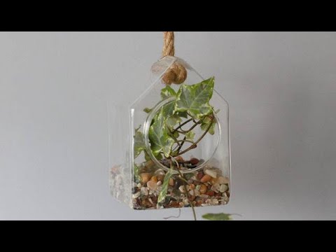 Glass Terrariums 2