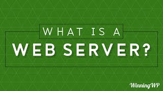 What Is A Web Server?