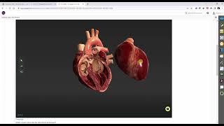 MindTap for Co's Anatomy & Physiology Demo