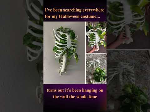 When you can't find your Halloween costume