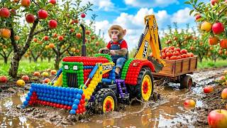 Monkey Farmer working with JCB Tractor Excavator and the Unexpected Road Repair After the Big Rain
