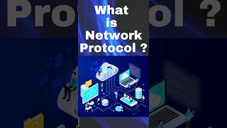 What is Network protocol ?