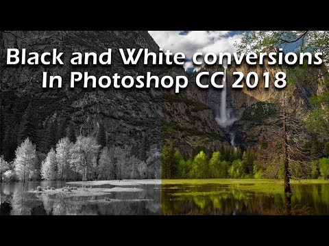 Black and White Conversions in Photoshop