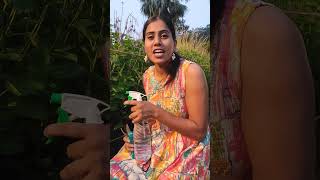Garden Plus(UGC)X Monkey Studios| Brand Communication | Reels, Shorts, Films, Ads, Digital Marketing