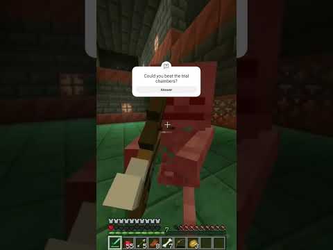 could you beat the trial chambers???
