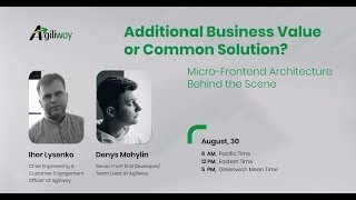 Business Value or Common Solution? Micro-Frontend Architecture Overview