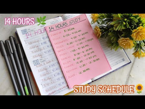 Master Your Summer Vacation: The Ultimate 14-Hour Study Guide 📝