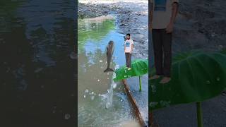 Amazing mobile videography idea tutorial 💡📱 #shortvideo #funny #creative #amazing #song