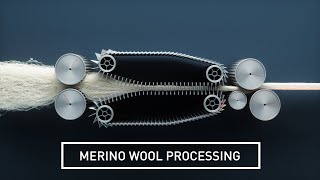 How Wool Is Made: From Farm to Fashion