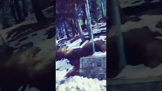 Bhurban Muree | Travel Vlog | Trip to Bhurban | #TechnicalHacks