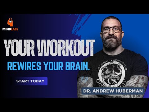 The Secret Connection Between Exercise & Brain Power | Dr. Andrew's Protocol | Mind Lab