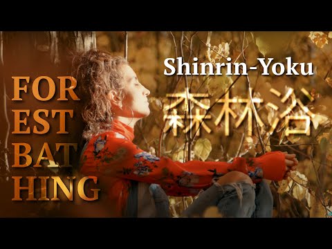 Forest bathing, let the trees HEAL you with nature therapy! Shinrin-Yoku 森林浴
