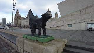 Albert Dock, Liverpool Early Moring Walk 4K UHD
