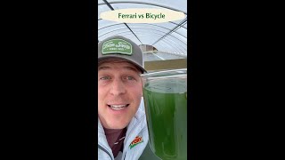 The Real Cost Comparison of Spirulina