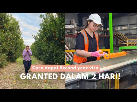 CARA DAPAT SECOND YEAR WORKING HOLIDAY VISA AUSTRALIA| GRANTED DALAM 2 HARI