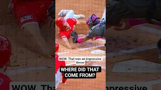 Juan Soto Makes A Run Saving Throw #baseballszn #baseball #baseballhighlights
