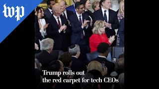 Trump rolls out the red carpet for tech CEOs