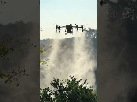 Amazing Dji T50 #automobile #agriculturedrone #quadcopter #sorts #drone #t40 #helicopter