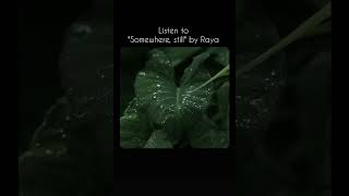 Song name - Somewhere, still by Raya #lofibeat #rain #loficommunity