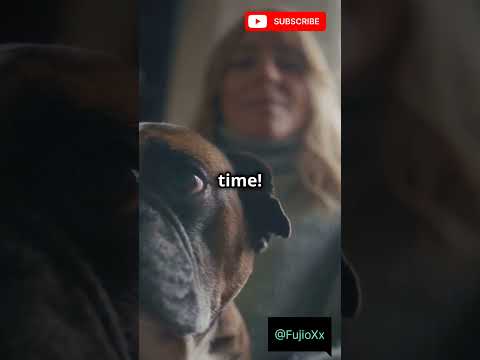 When Pets Act More Human Than You 🐾😂#Pets #FunnyAnimals #PetHumor #Shorts  #DogsofYouTube #Cats #dog