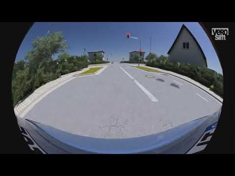 Simulated Rear View Fisheye Camera
