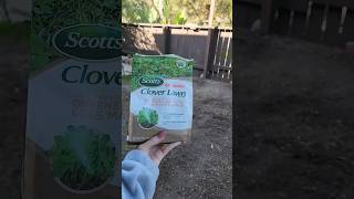 did someone say clover is more drought tolerant? here we go!!