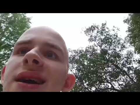 the faster version of the park