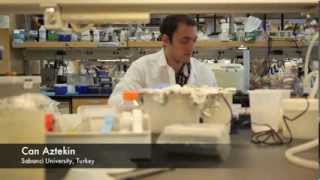 The HSCI Internship Program: Overview