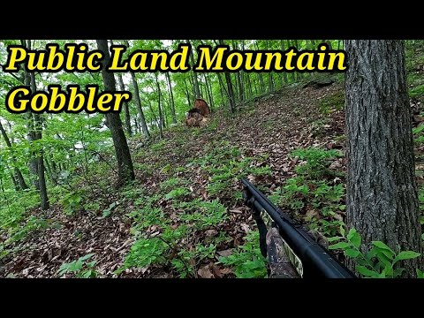 Run and Gun~PA Public Land Spring Turkey Hunting