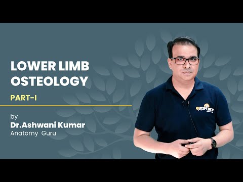 LOWER LIMB OSTEOLOGY (PART 1)