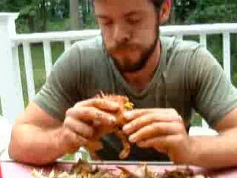 How to properly eat a blue crab