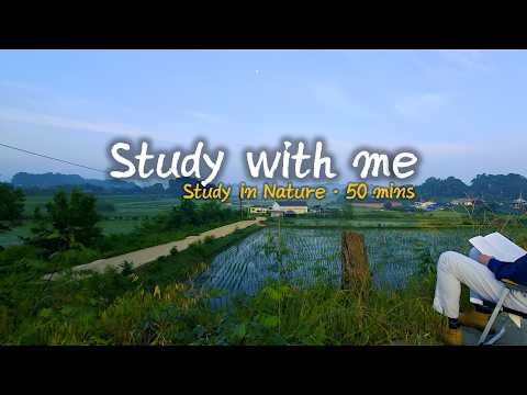 Early Morning Calm in a Korean Village. 50min Focus in a Quiet Rural Landscape #studywithme