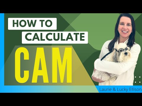 Understanding CAM - Common Area Maintenance for Commercial Real Estate Investors