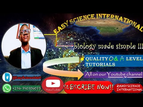 Empower youths in innovations, Science and Technology.