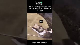 "Bug Fixes Itself Because Even the Dev Gave Up 😭 | Coding Meme for Developers"